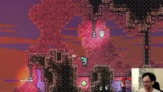 [MODDED CELESTE] CoryD_ MARATHON DAY 5
