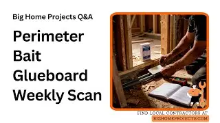 Termite Bait Perimeter Glueboard Weekly-Scan Method