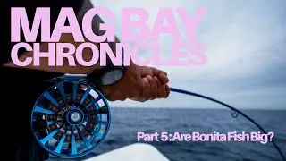 ХРОНИКИ MAG BAY: Крупные ли рыбы бонита? Обзор снаряжения и комплектации для нахлыстовой рыбалки ...