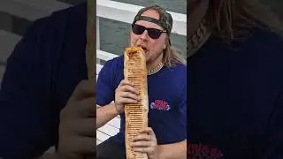NAJWIĘKSZY KEBAB GIGANT 50 CM JASTARNIA KEBAB & FRYTKI BELGIJSKIE - SPRAWDZAM JAK SMAKUJE