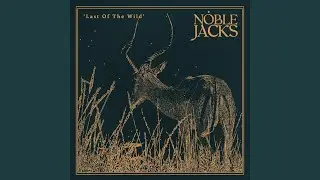 Last of the Wild