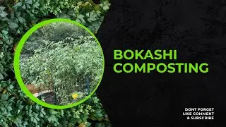 Bokashi Composting