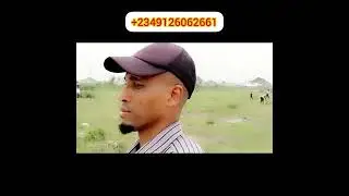 Land Tour : C Of O Land For Sale  At Ajah Lagos In A Developed Area  #lagosnigeria #shorts #video