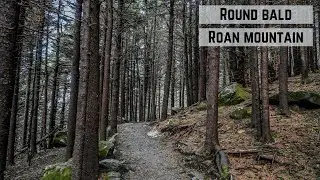 Round Bald - Roan Mountain, TN