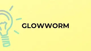 What is the meaning of the word GLOWWORM?