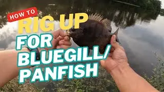 BASIC BLUEGILL/ PANFISH RIG SETUP ! (POV)