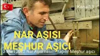 Nar aşı olurmu? nasıl yapılır? %100 başarılı Aşı teknikleri kolay öğrenin Meşhur Aşı Kavuş 2.3. 2022