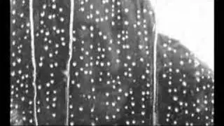 TONTXU Y SUAREZ - Números cardinales