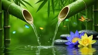 Peaceful Relaxing Music &ndash; Deep Sleep, Meditation & Therapy Sounds for Stress and Anxiety Healing