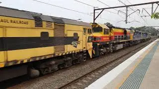 RL306/C505/C504/BRM001/44206