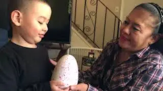 Hatching a Hatchimal