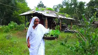 গ্রাম বাংলার পাতি রান্না লাউ শাকের ঝোল | Village style cooking gourd leaves by our Grandmother