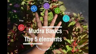 Mudra Healing - Lesson 1 - Introduction to five elements represented by five fingers