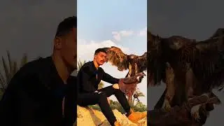 #funnyvideo #machine #trending #youtubeshorts #lion #pakistan #automobile #blog #tiger