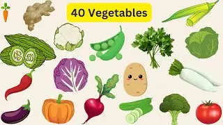 40 Vegetable Names with Pictures for Toddlers | Learn Vegetables | Joy Kids