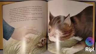 The Littlest Matryoshka /  The Ultimate Noah's Ark  Books