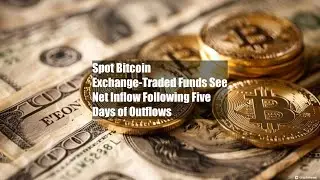 Spot Bitcoin Exchange-Traded Funds See Net Inflow Following Five Days