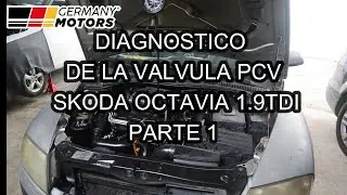 parte 1 DIAGNOSTICO DE VALVULA PCV SKODA OCTAVIA 1.9TDI A05
