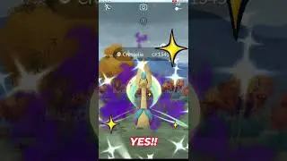 Duo Legandary Shadow RAID with intense ending #raid #pokemongo #duo #shadow #rare #legandary #shiny