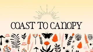 Coast to Canopy: The Snakes of Florida