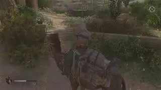 Assassin's Creed Mirage enigma