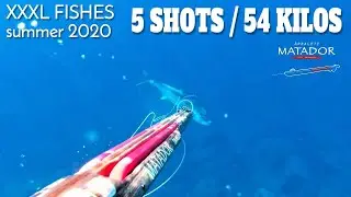 🌀XXXL FISHES vs MATADOR🔴 - summer 2020 spearfishing pesca sub