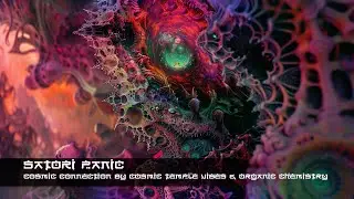 Satori Panic @ Cosmic Connection by Organic Chemistry & Cosmic Temple Vibes HQ
