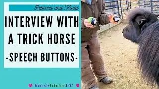 INTERVIEWING A TRICK HORSE! | HORSE USES SPEECH BUTTONS TO COMMUNICATE | HORSE TRICKS CLUB