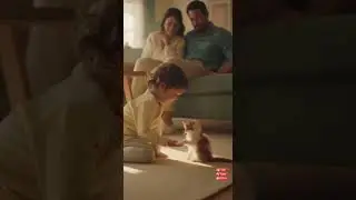 Baby Tries to Teach Gentle Gestures to a Curious Kitten 🐾💖 #pet #animal #short