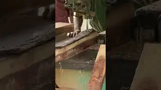 Satisfying Wood Cutting 🔪 | Perfect Cuts & Smooth ASMR Sound | #WoodCutting #woodworking