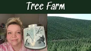 Bath & Body Works TREE FARM Candle Review!