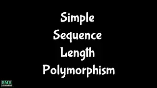 Simple Sequence Length Polymorphism | SSLPs Polymorphism |