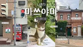 [마쓰야마1🇯🇵시내편] 일본 소도시감성 그잡채 | 한국인무료쿠폰&공항버스,비행왕복9만원,미슐렝라멘맛집,고양이카페,공항노숙 @팝홍pop_hong
