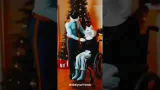 😻😽made for each others.. love story  of two cats....🤓❤️🤓🐱#youtubeshorts#catshorts#catstory#catllover