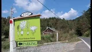 Working at a Market Garden | Root Bottom Farm