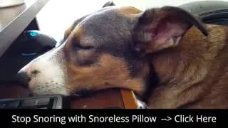 Buy him a Snoreless Pillow