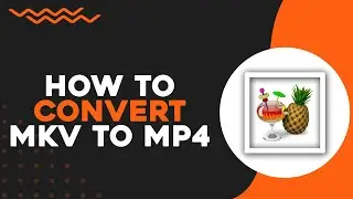 Как конвертировать MKV в MP4 в Handbrake (краткое руководство)