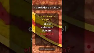 ❤️ Colesterol: la importancia de la protecci&oacute;n celular