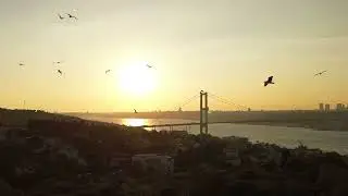 Mine Özdemirtaş - Biraz Kül Biraz Duman
