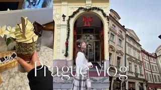 Praha vlog🇨🇿|不運から始まる、、？意外にもグルメの街で食べ飲みvlog🍨♡ep.3