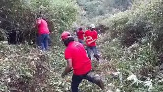 Devikulam Court raod CleenKerala youth action force Kerala State youth welfare board Idukki , MUNNAR