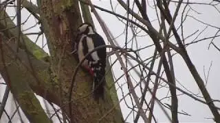 RSPB Middleton Winter Walk