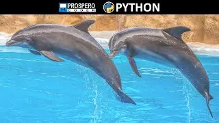 Jump Tables in Python