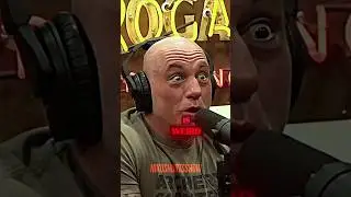 Joe Rogan Roasts Sylvester Stallone's New Face 💉 #shorts  #hollywood
