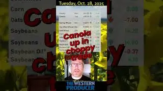 Oct. 28, 2025, morning #grain and #oilseed #market update: #canola up in choppy trade