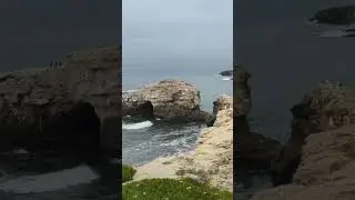 ✨ NATURAL BRIDGES, SANTA CRUZ, CA✨ #santacruz #naturalbridge #california