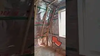 The dog is watching the grounding device (Собака наблюдает за устройством заземления в доме А-фрейм)