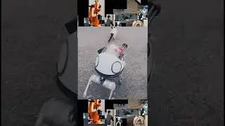 Animal Reactions to Robots🙀🙀#robot #animal #shorts #cat #robots