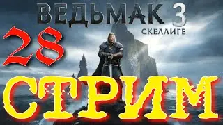 СКЕЛЛИГЕ ► The Witcher 3: Wild Hunt на смерть  прохождение ► 28