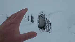 Обзор поля 31.12.25 С Новым Годом!